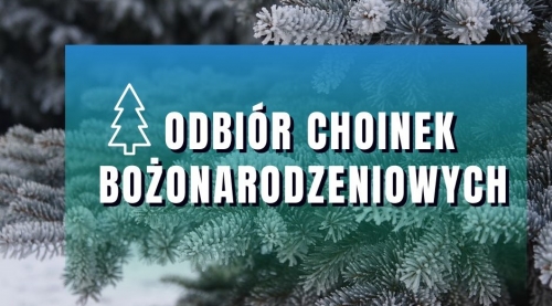 obrazek egcy�r choinek świątecznych wiecej