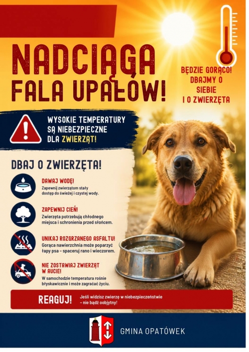 Zdjęcie do aktualności: UWAGA! fala upałów  wiecej